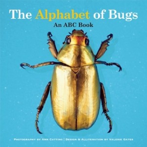 alphabet of bugs
