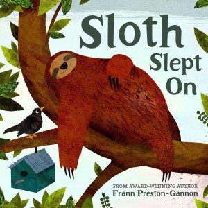 sloth slept on