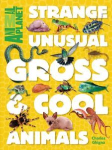 strange-unusual-gross-cool-animals