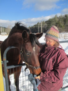 Jessie Haas w horse