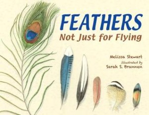 feathers