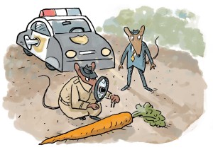 case of the missing carrot illustration