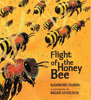 flight of the honey