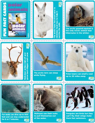 animal-fun-fact-cards-2