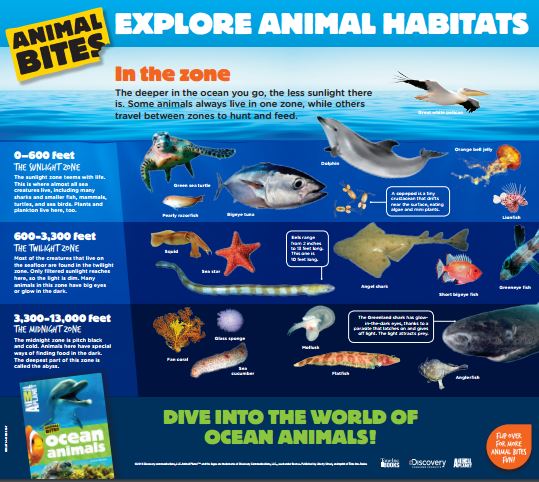 Animal Planet's Animal Bites: Ocean Animals and Polar Animals – Unleashing  Readers