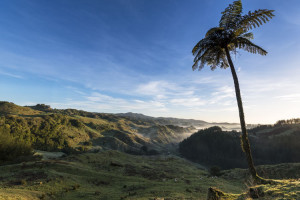 Waitomo-view