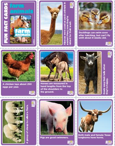 animal-fun-fact-cards