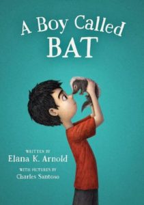 a-boy-called-bat